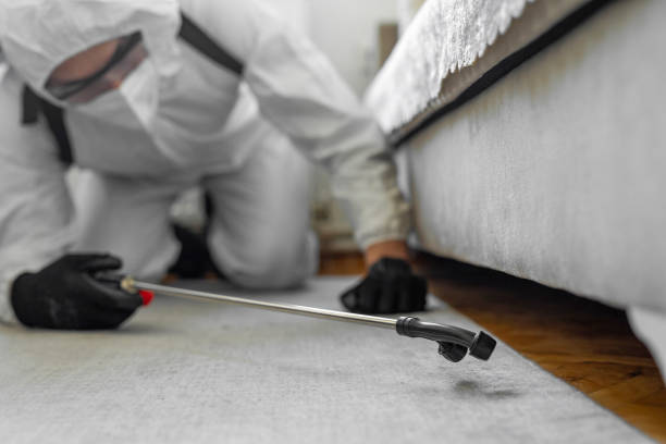 Professional Ant Control technician working in Young Harris, GA