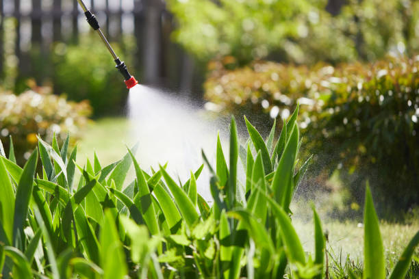 24/7 Emergency Ant Control experts in Young Harris, GA