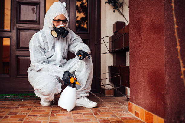 Reliable Ant Control contractor in Young Harris, GA by Show Me Pest Control